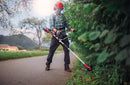 EINHELL AGILLO 36/255 BL-Solo Coasa fara fir-2