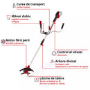 EINHELL AGILLO 36/255 BL-Solo Coasa fara fir-9
