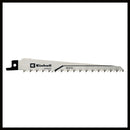 EINHELL TE-AP 750E Ferastrau electric multifunctional-4